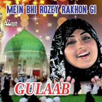 Mein Bhi Rozey Rakhon Gi Gulaab Song Download Mp3