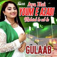 Aya Hai Youm E Azadi Mubarak Ho Sab Ko Gulaab Song Download Mp3