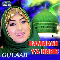 Ramadan Ya Habib Gulaab Song Download Mp3