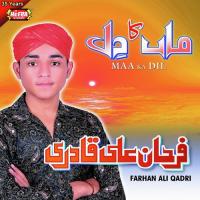 Halima Mainu Naal Rakh Le Farhan Ali Qadri Song Download Mp3