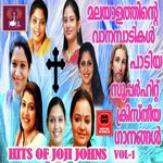 Daivam Thannathallathonnum Chithra Arun Song Download Mp3