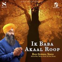 Jo Nar Dukh Mein Bhai Gurmail Singh Song Download Mp3