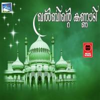 Dhuniyavil Ninnaaki Ali Kottakkal Song Download Mp3