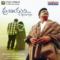 Seethamma Petalo Sekhar Song Download Mp3