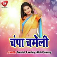 Darsan Karahi Diha Na Neha Chouhan Song Download Mp3