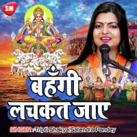 Sugga Marbo Hum Tora Vijay Tiwari Song Download Mp3