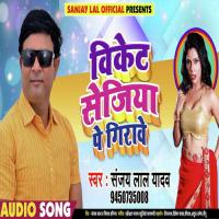 Wicket Sejiya Pe Girawe Deepak Vishwakarma Song Download Mp3