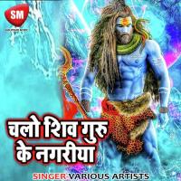 Dhan Bhael Ba Harinder Bhaiya Sunil Suman Song Download Mp3