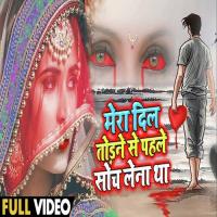 Mera Dil Todane Se Pahale Soch Lena Tha Madhavi Shrivastava Song Download Mp3