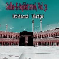 Imdadkun Imdadkun Hafiz Muhammad Talha Sultani Song Download Mp3