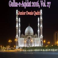 Ghous-Ul-Azam Dastageer Junior Owais Qadri Song Download Mp3