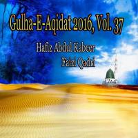 Mustafa Jo Shan Hafiz Abdul Kabeer Faizi Qadri Song Download Mp3