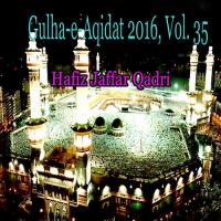 Saiyaan Meray Saiyaan Hafiz Jaffar Qadri Song Download Mp3