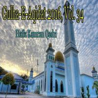 Dil Ghame Shabbir Hafiz Kamran Qadri Song Download Mp3