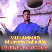 Muhammad Mustafa Salle Ala Muhammad Ali Alafi Bangash Song Download Mp3