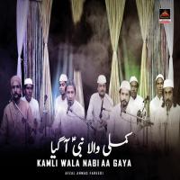 Kamli Wala Nabi Aa Gaya Afzaal Ahmad Fareedi Song Download Mp3