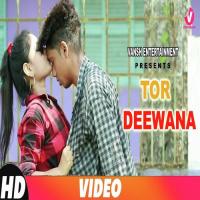 Tor Deewana Tripurari Nath Song Download Mp3