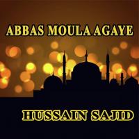 Zehra Ko Rulaya Hai Musalmano Nay Hussain Sajid Song Download Mp3