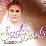 Kothe Te Kaan Bole Naseebo Lal,Amir Ali Song Download Mp3