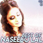 Kar Ke Bahane Asan Raat Naseebo Lal Song Download Mp3