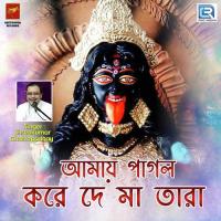 Amai Pagol Kore De Maa Tara Sreekumar Chattopadhyay Song Download Mp3