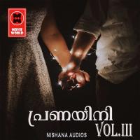 Maniyara Vilakkinte Rehna Song Download Mp3