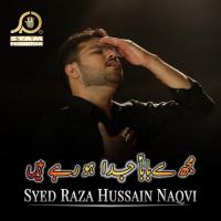 Mujh Se Baba Syed Raza Hussain Naqvi Song Download Mp3