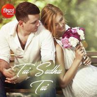 Tui Bhabna Te Subhasree Debnath Song Download Mp3