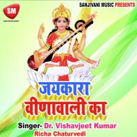 Aaya Main To Tere Dar Pe Dr. Vishwajeet Kumar Song Download Mp3