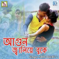 Agun Jaliye Buke Sree Dulal Song Download Mp3