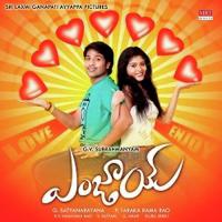 Hey Pove Hey Pora Sudha,Madhuri,Chakri,Praveen,Srilatha,Vasu Song Download Mp3