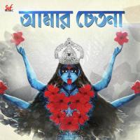 Amar Chetona Mekhla Dasgupta Song Download Mp3