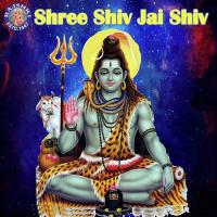 Shiv Chalisa Sanjeevani Bhelande Song Download Mp3