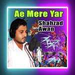 Ban K Mera Parwana Shahzad Awan Song Download Mp3