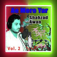 Maawan Naal Shahzad Awan Song Download Mp3