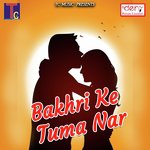 Guru Ghasidas Ham Sab Pe Daya Karna Sunita Devi Patil Song Download Mp3