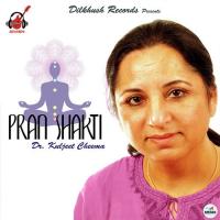 Reiki Principals Kuljeet Cheema Song Download Mp3