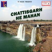 Ye Sari Mor Ghanshyam Netam Song Download Mp3