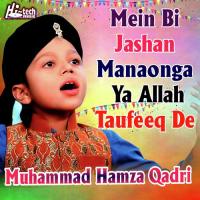 Mein Bi Jashan Manaonga Ya Allah Taufeeq De Muhammad Hamza Qadri Song Download Mp3