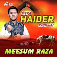 Mera Haider Kaun Hai Meesum Raza Song Download Mp3