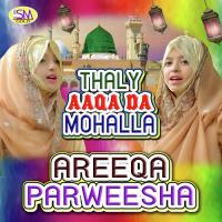 Har Zamana Aareeqa Parweesha Song Download Mp3