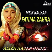 Mein Naukar Fatima Zahra Ki Aliza Hasan Qadri Song Download Mp3