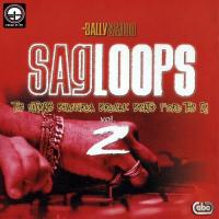 Loop 3 (82 BPM) Bally Sagoo Song Download Mp3