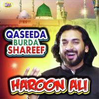 Qaseeda Burda Shareef Haroon Ali Song Download Mp3