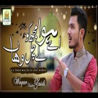 Aye Hawa Mujhko Waqar Haider Zaidi Song Download Mp3