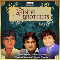 Aalandi Hey Gaov Prahlad Shinde Song Download Mp3