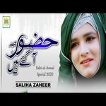 Falak Ke Nazaro Zameen Ki Baharo Saliha Zaheer Song Download Mp3