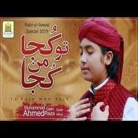 Tu Kuja Man Kuja Ahmed Raza Qadri Song Download Mp3