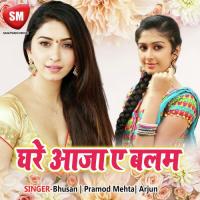 Bilkul Chakachak Lage Chi Bhusan Song Download Mp3