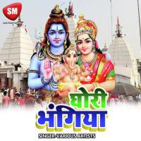 Sari Me Bol Bam Pintu Diwana Song Download Mp3